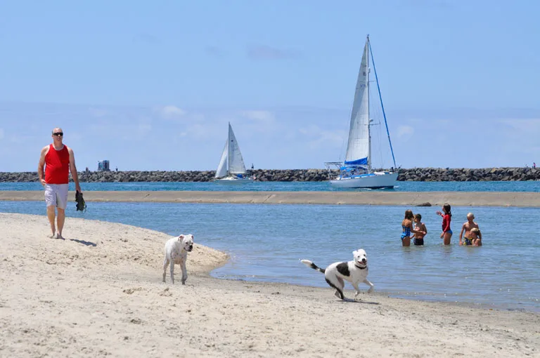 Dry cleaning in Ocean Beach - dog beach